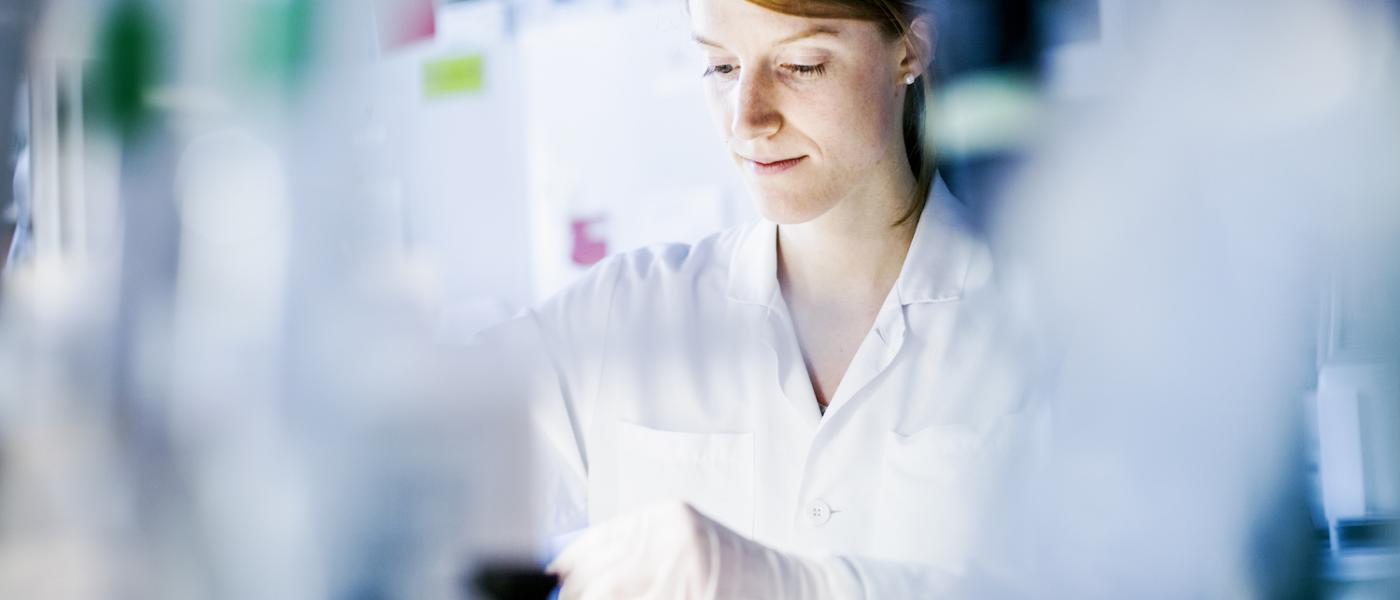 Photo of Lab