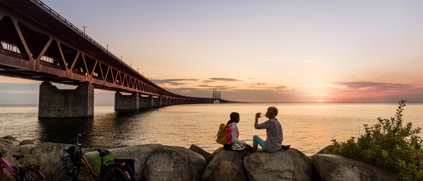 The Oresund Bridge