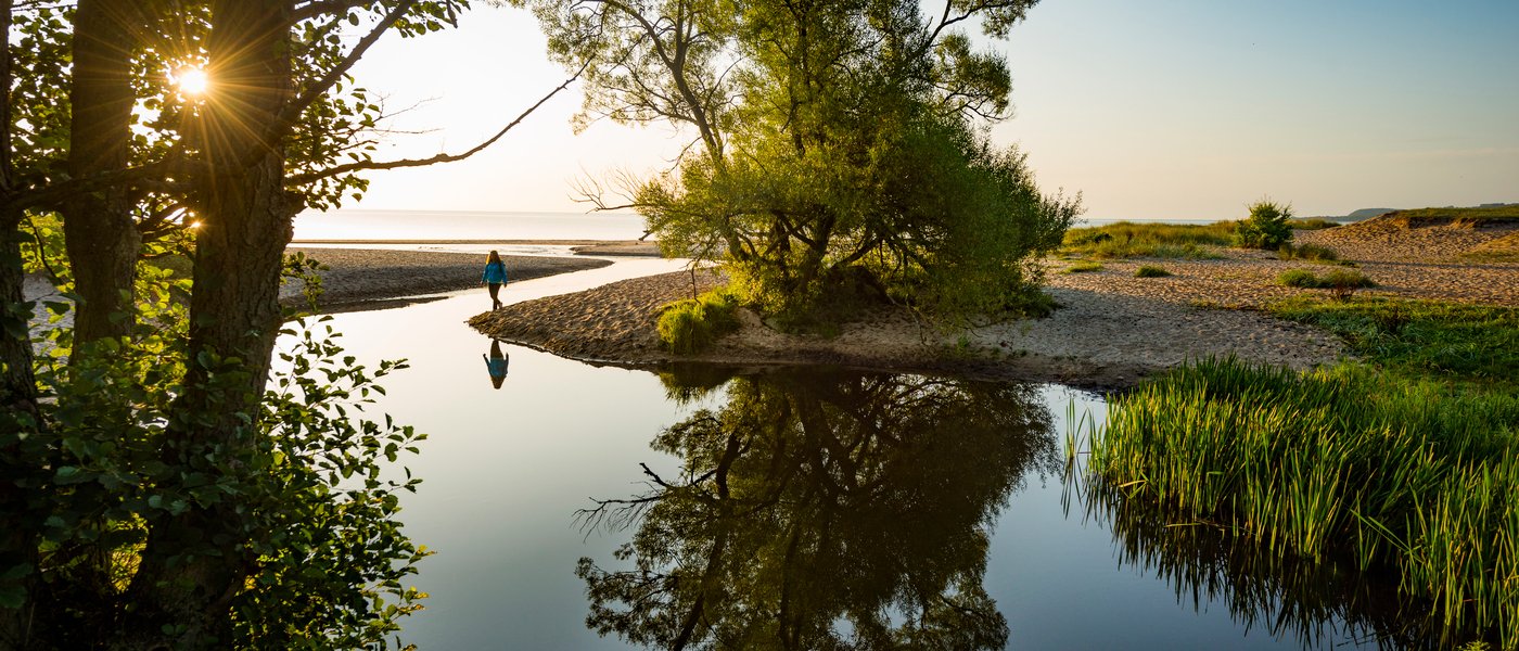 Nature in Haväng Skåne