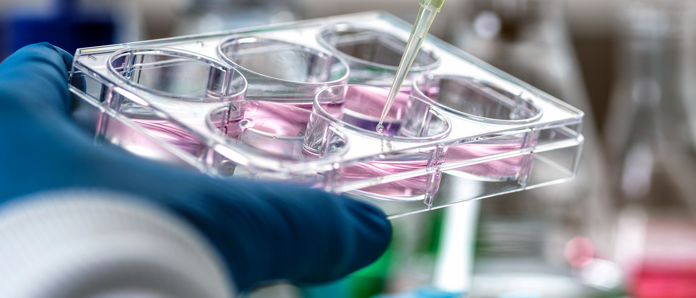 Researcher in life science laboratory