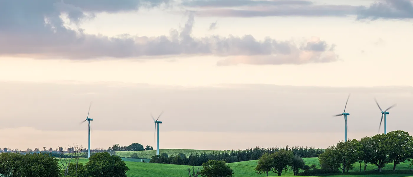 Green fields with wind turbines on the horizon
