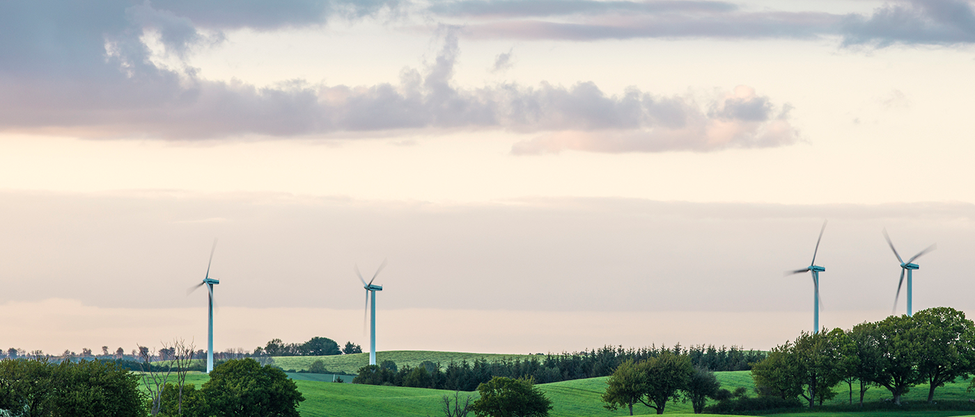 Green fields with wind turbines on the horizon