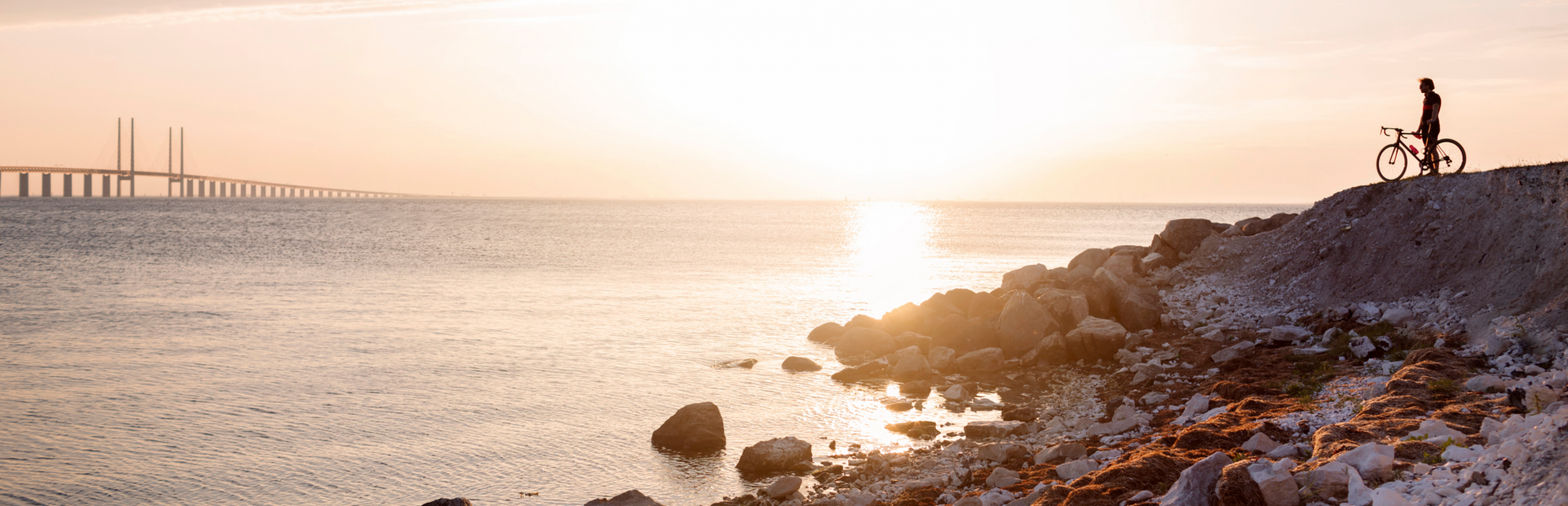 The Oresund Bridge in Malmö