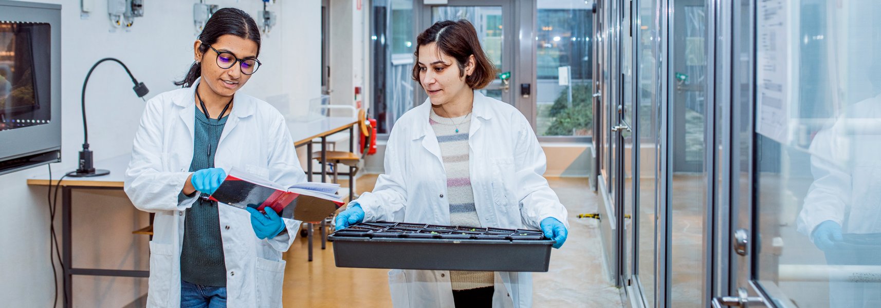 Two female scientist discussing while walking