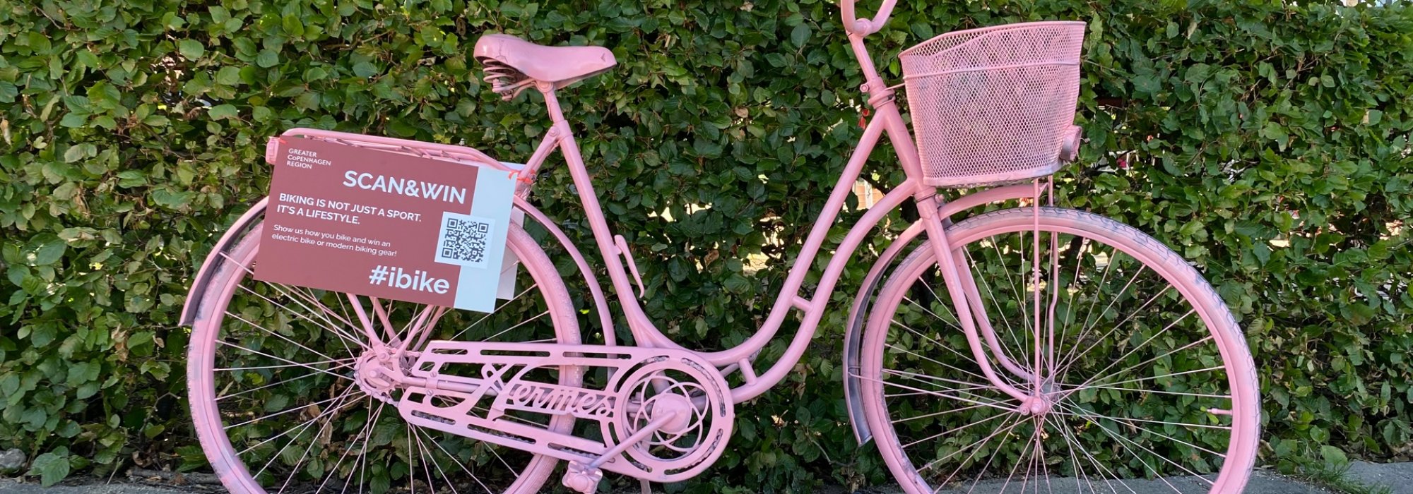 pink decorated bike