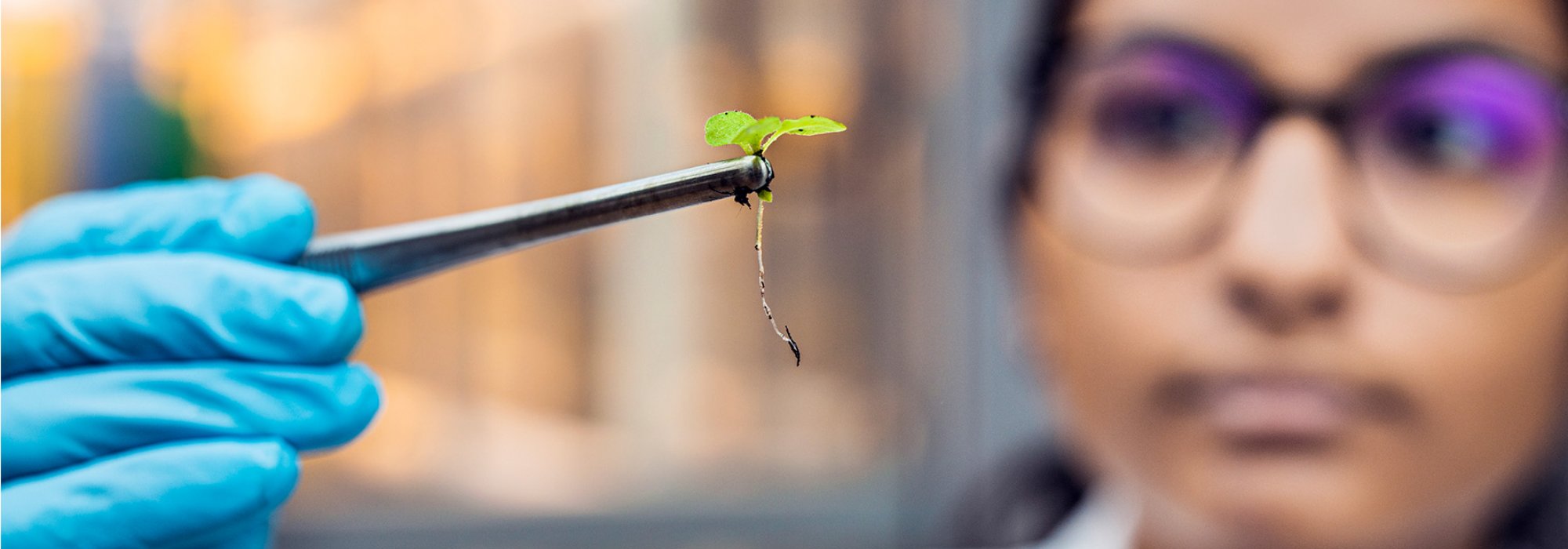 Woman holding a plant