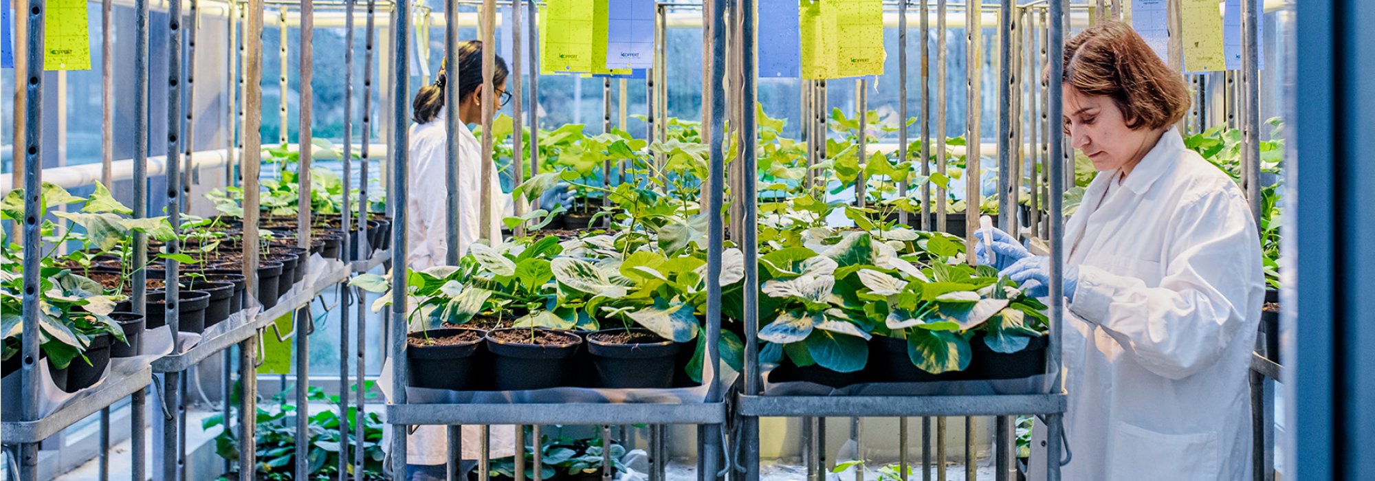 Two women in a room with plants