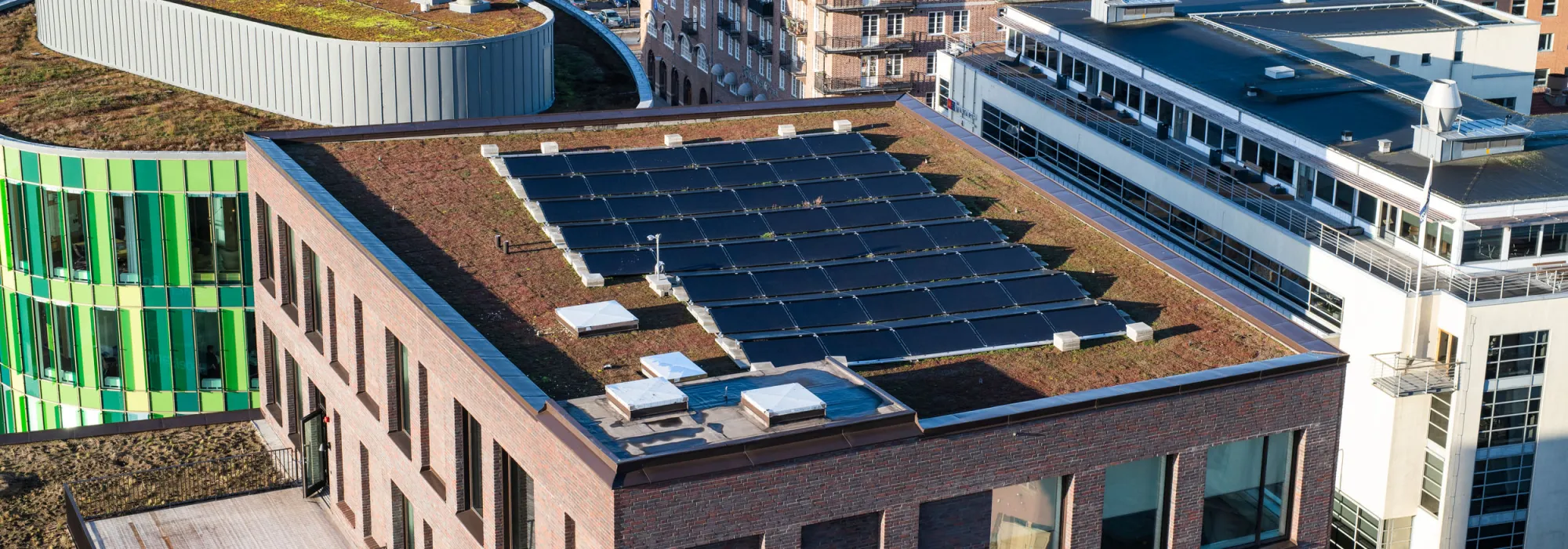Rooftops in a city. Daylight.