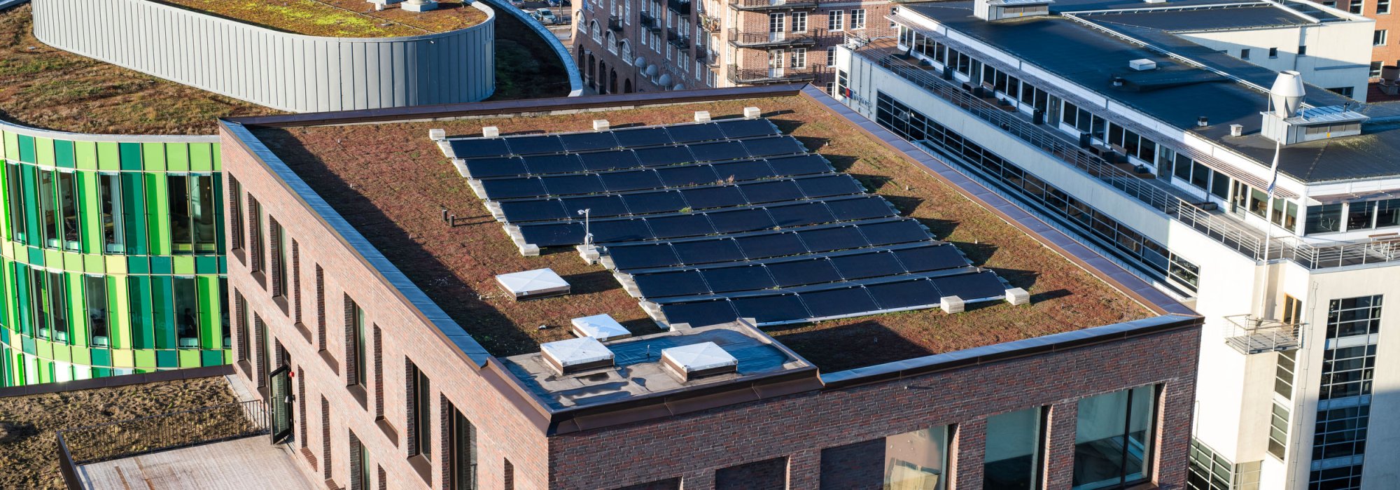 Rooftops in a city. Daylight.