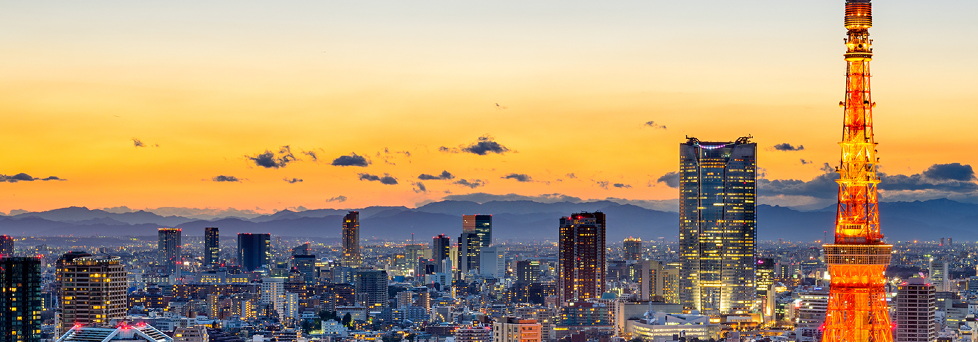 Tokyo skyline at sunset
