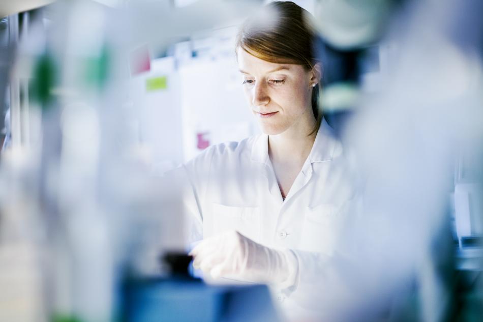 Photo of Lab