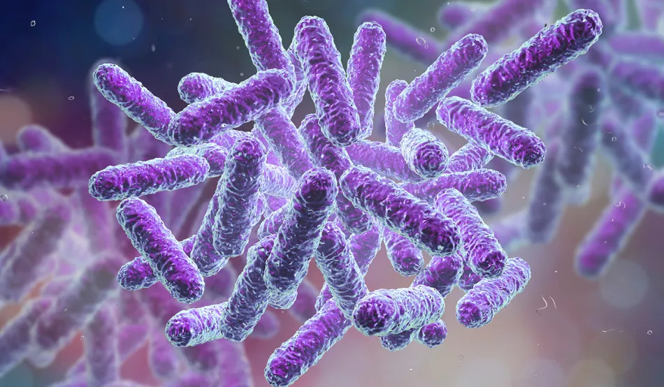 MIcrobiome bacteria