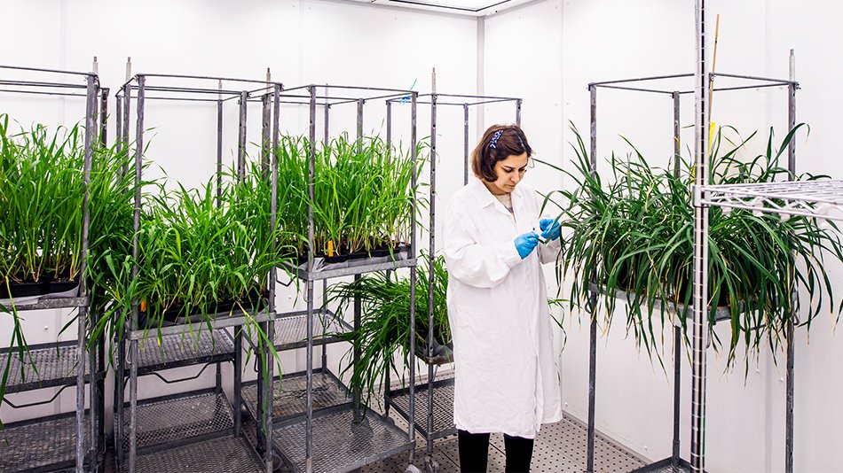 Woman standing in a room with plants