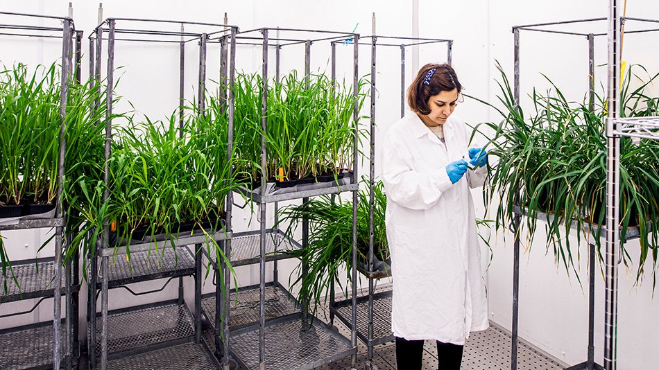 Woman standing in a room with plants