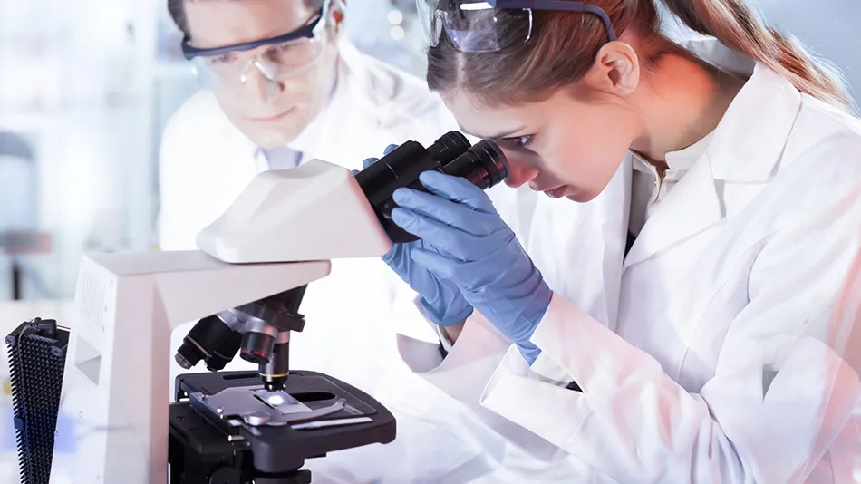 Two researchers in a laboratory