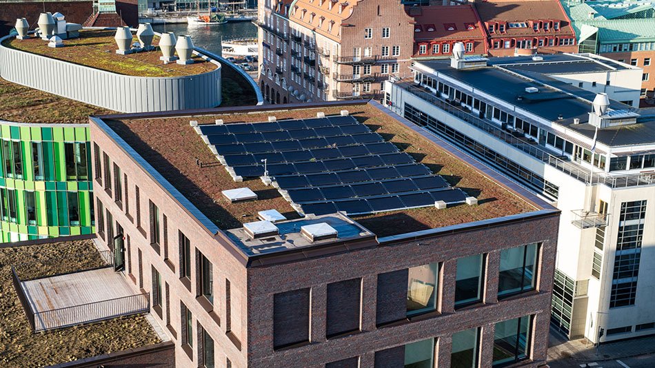 Rooftops in a city. Daylight.