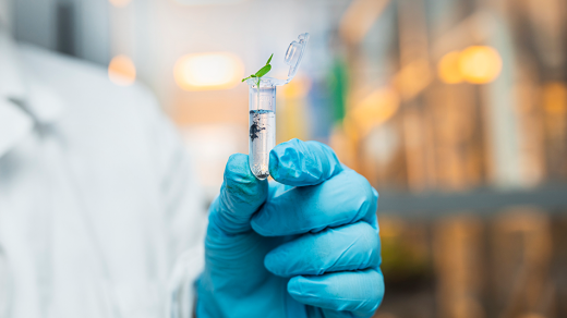 A hand holding a small plant in a plastic container